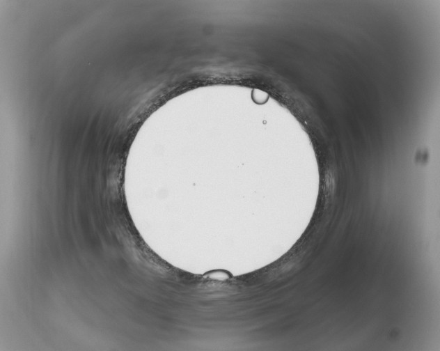 X0000112501300200909281147