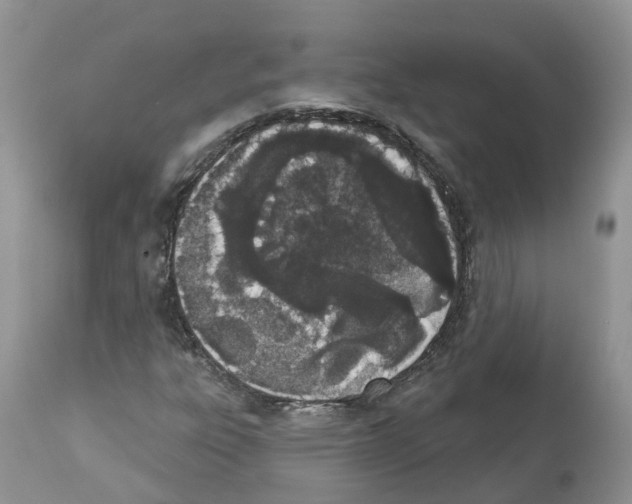 X0000112501303200909281147