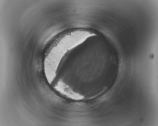 X0000112501306200909281147