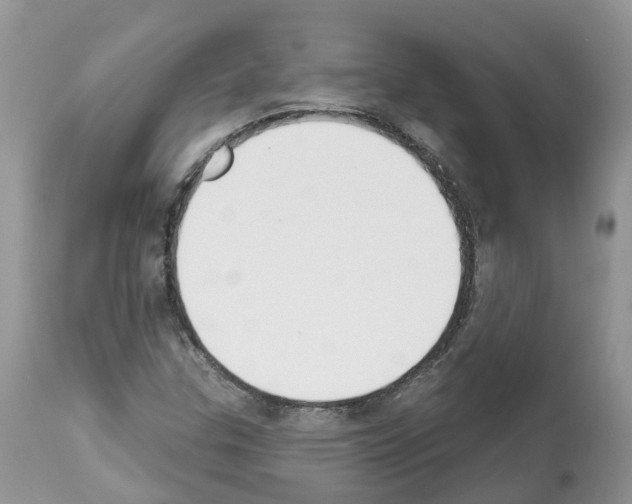 X0000112501307200909281147