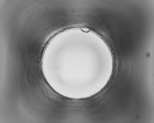 X0000112501308200909281147