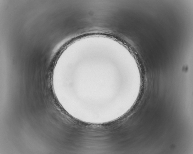 X0000112501310200909281147