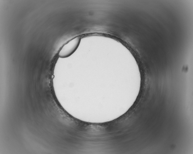 X0000112501312200909281147