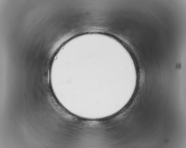 X0000112501317200909281147