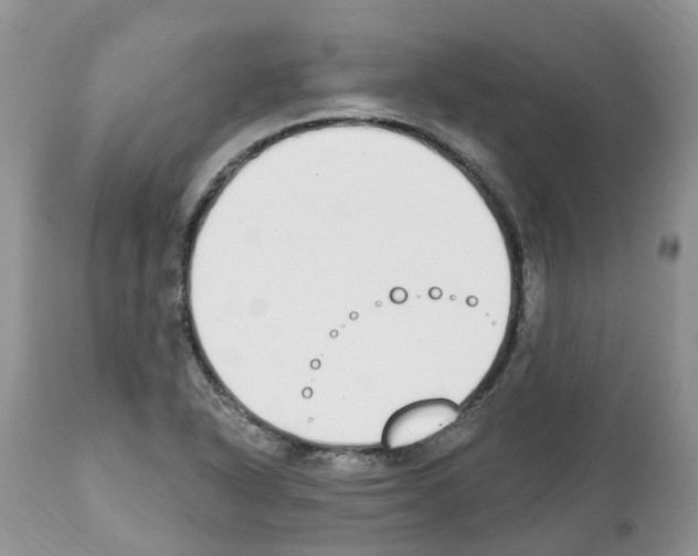 X0000112501318200909281147