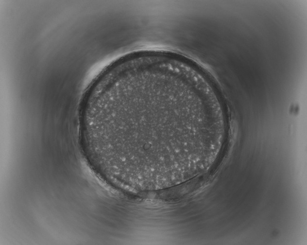 X0000112501319200909281148