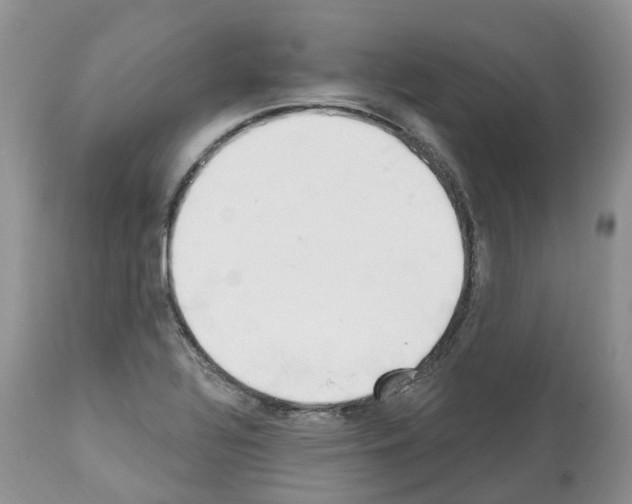 X0000112501320200909281148