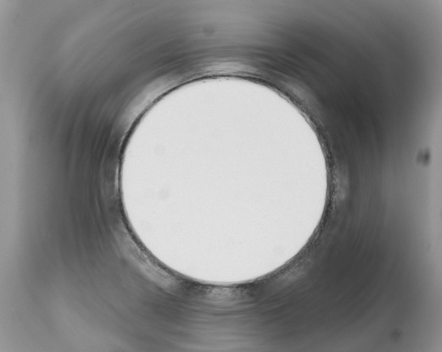 X0000112501322200909281148