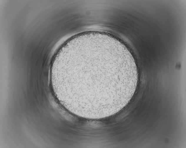 X0000112501323200909281148