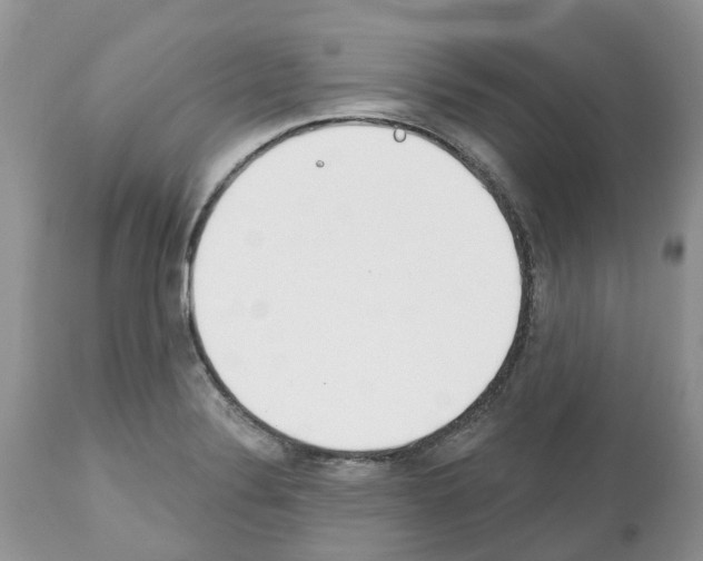 X0000112501324200909281148