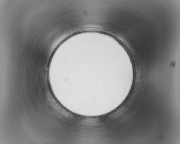 X0000112501325200909281148