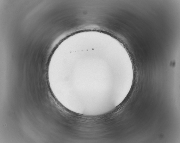 X0000112501326200909281148