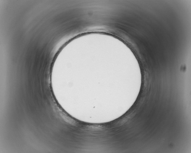 X0000112501328200909281148