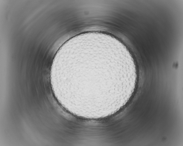 X0000112501329200909281148