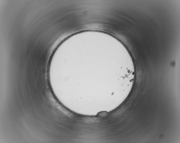 X0000112501331200909281148