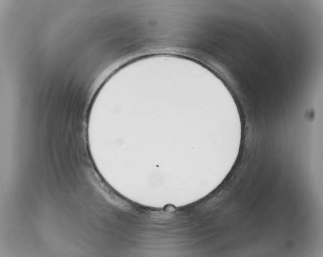 X0000112501332200909281148