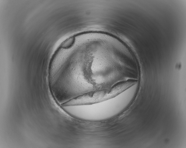 X0000112501334200909281148