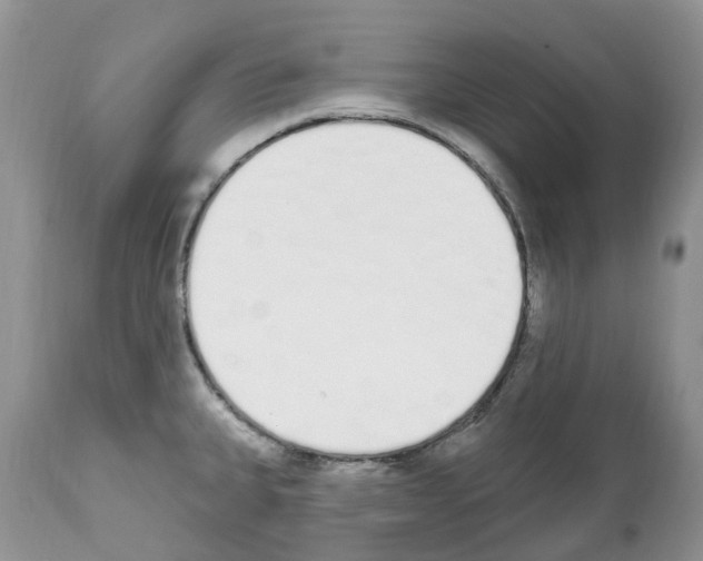 X0000112501335200909281148