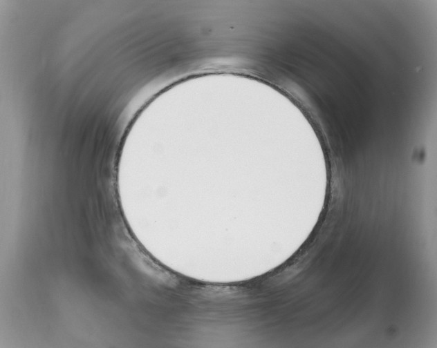 X0000112501336200909281148