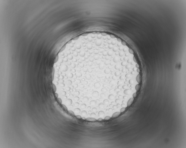 X0000112501337200909281148