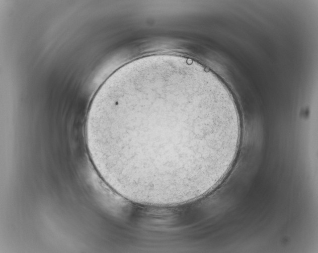 X0000112501338200909281148