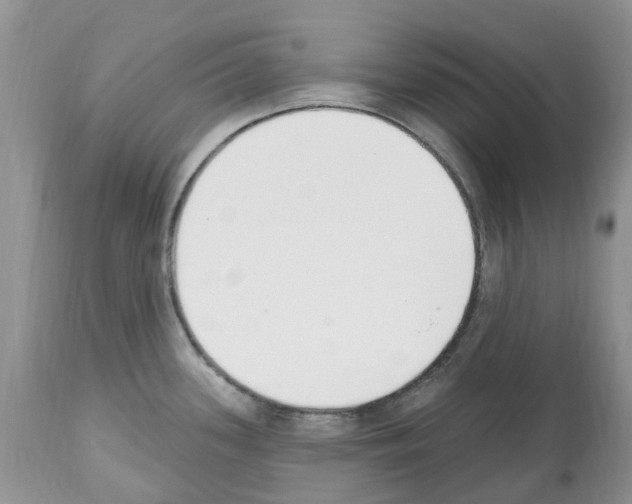 X0000112501339200909281148