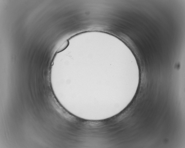 X0000112501340200909281148