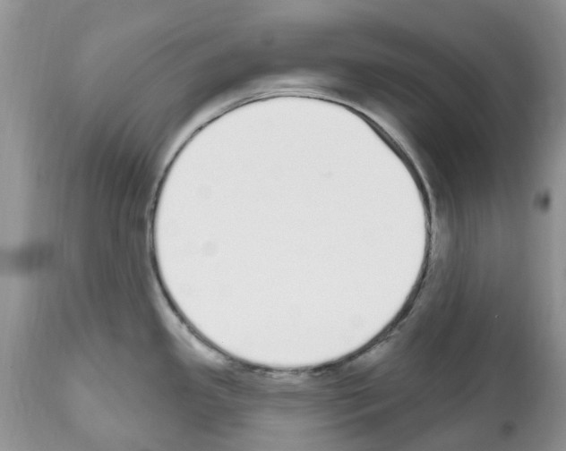 X0000112501341200909281148