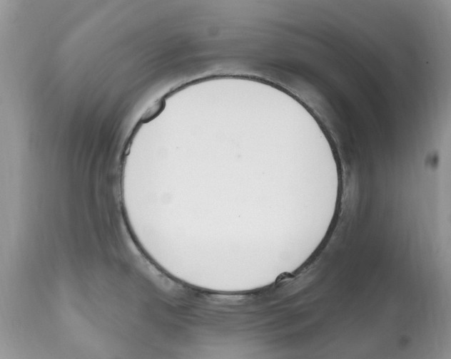 X0000112501342200909281148