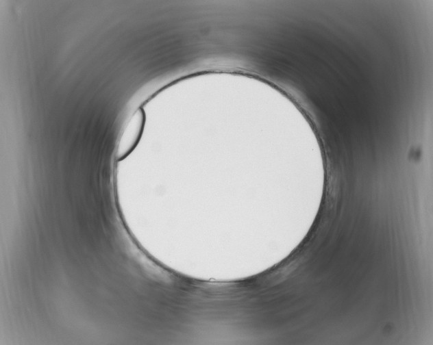 X0000112501343200909281148