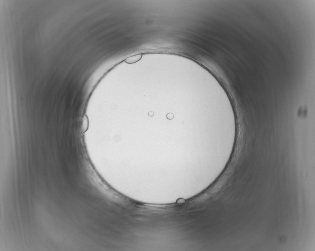 X0000112501344200909281148