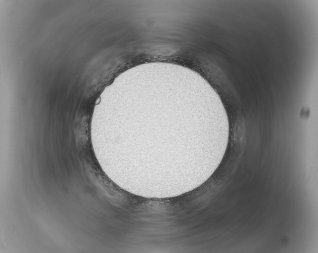 X0000112501346200909281147