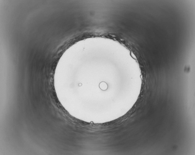 X0000112501349200909281147