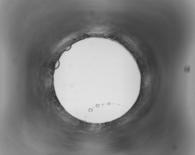 X0000112501350200909281147