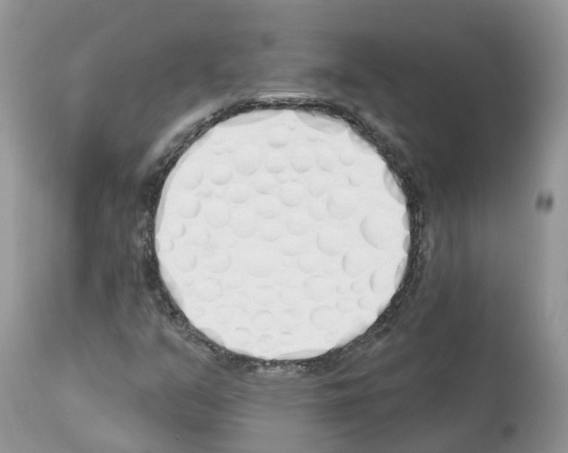 X0000112501351200909281147