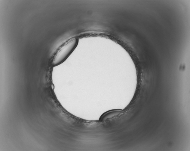 X0000112501352200909281147