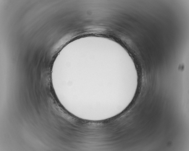 X0000112501354200909281147