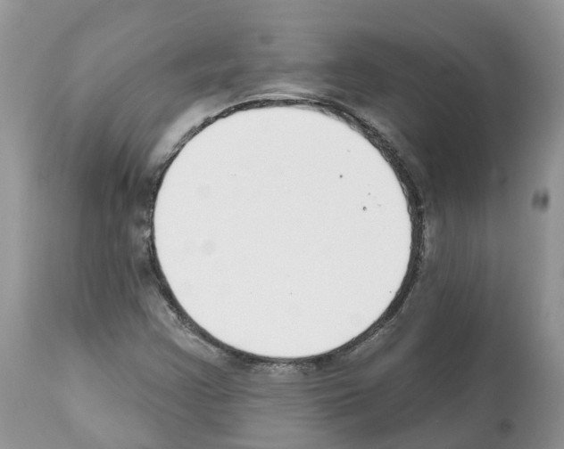 X0000112501355200909281147