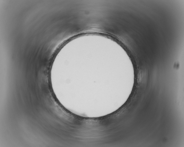 X0000112501356200909281147