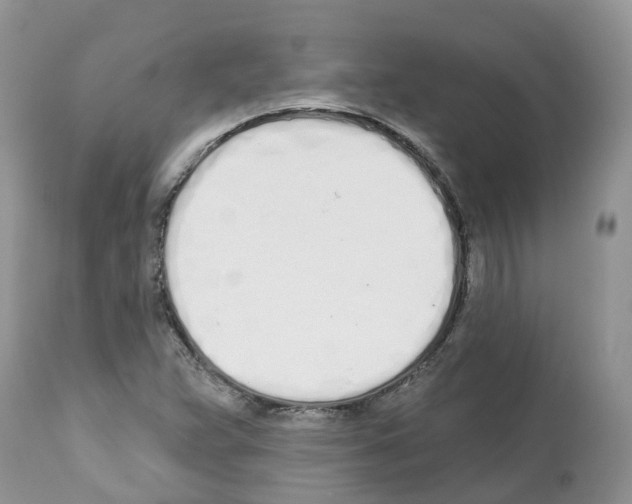 X0000112501359200909281147