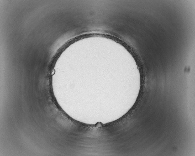 X0000112501360200909281147