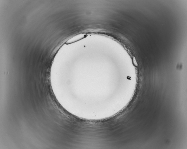 X0000112501361200909281147