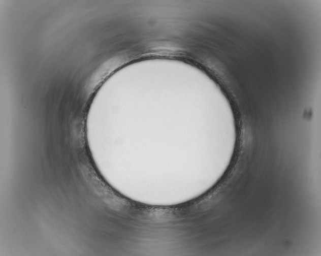 X0000112501362200909281147