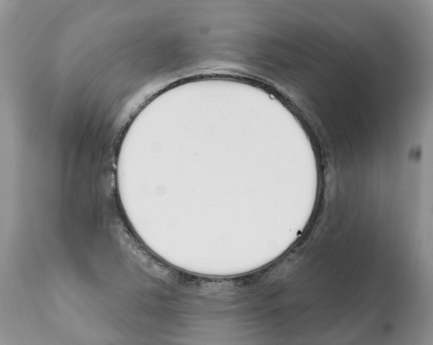 X0000112501363200909281147