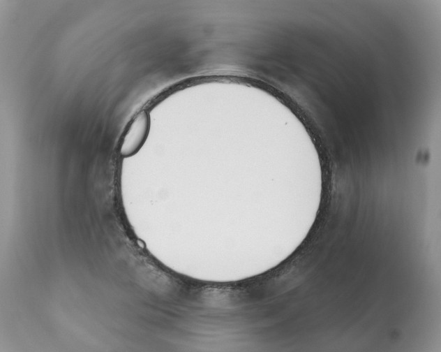 X0000112501364200909281147