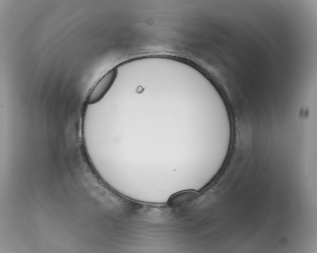 X0000112501365200909281147