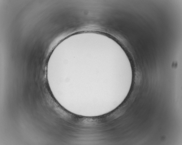 X0000112501366200909281147