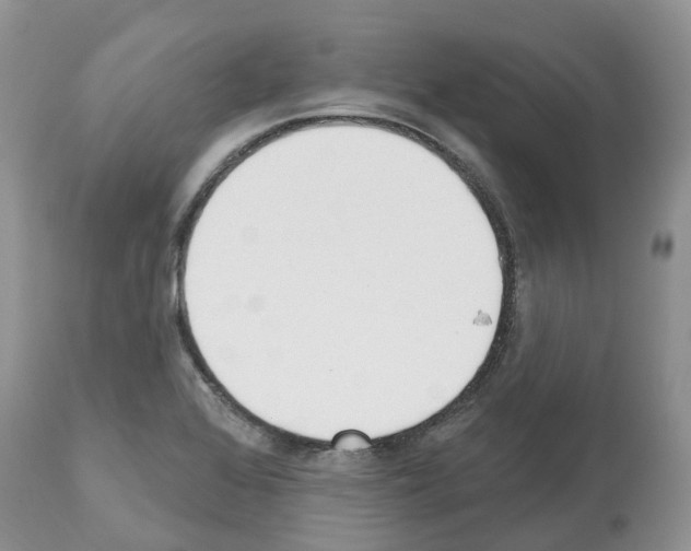 X0000112501368200909281147