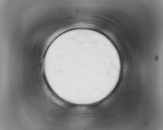 X0000112501371200909281147