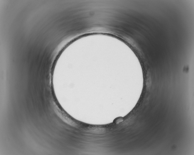 X0000112501372200909281147